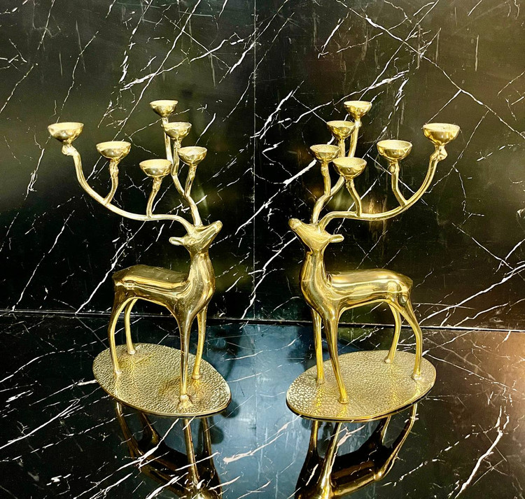 جاشمعی گوزن